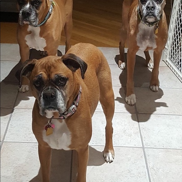 Hi! Iโm Nicolette! - Picture 4 of 5